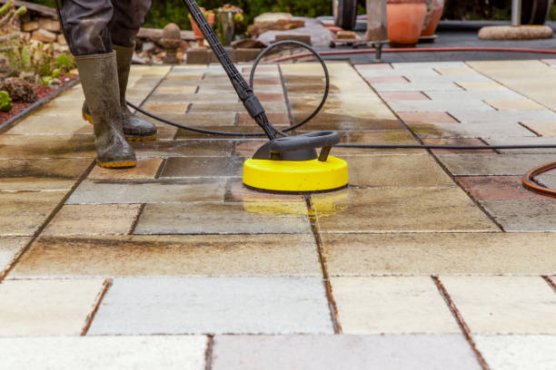 Best Solar Panel Cleaning  in Fabens, TX